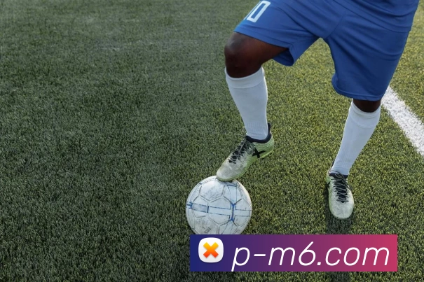 M25体育投注平台平台生态图